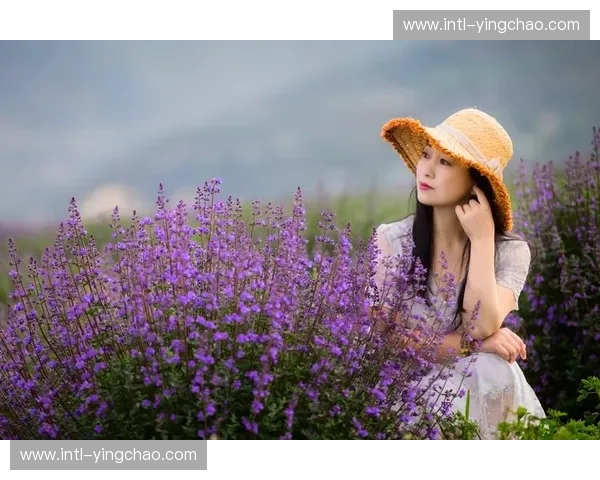 瓦朗谢vs尼：一场跨越时空的浪漫邂逅，揭秘普罗旺斯隐藏的宝藏